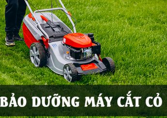 Bảo dưỡng máy cắt cỏ giúp đảm bảo tuổi thọ bền bỉ cho máy