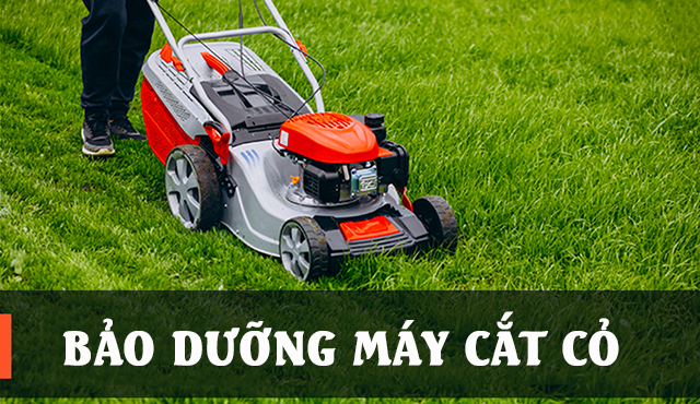 Bảo dưỡng máy cắt cỏ giúp đảm bảo tuổi thọ bền bỉ cho máy
